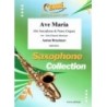 Ave Maria  (Bruckner)